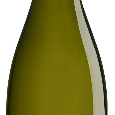 Les Affranchis 2020- ORGANIC White French Wine
