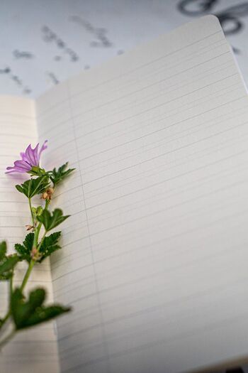 Carnet Pink bouton de rose 12x18cm 3