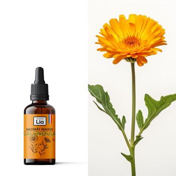 Macérât huileux de Calendula Française BIO 4