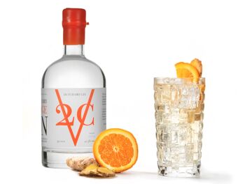V2C Orange Dutch Dry Gin 3