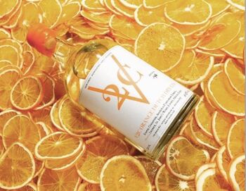 V2C Orange Dutch Dry Gin 8