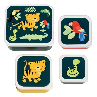 Tiger snack box