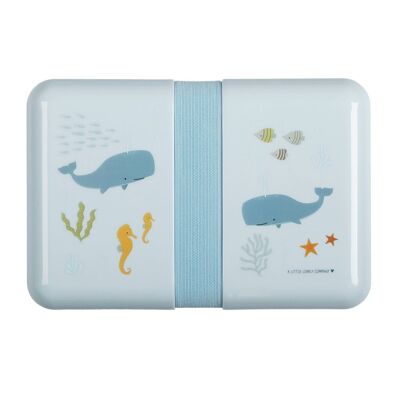 Ocean lunch box