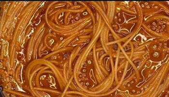 Spaghetti épicé "Assassina" avec sauce tomate, pâtes italiennes coupées en bronze prêtes à cuire avec assaisonnement - 3 portions 5