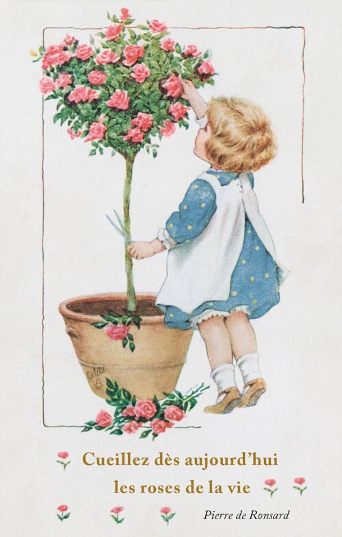 Carte postale les roses de la vie