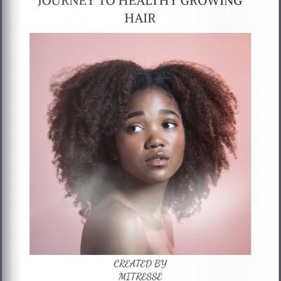 Afro Hair Rehab Ebook