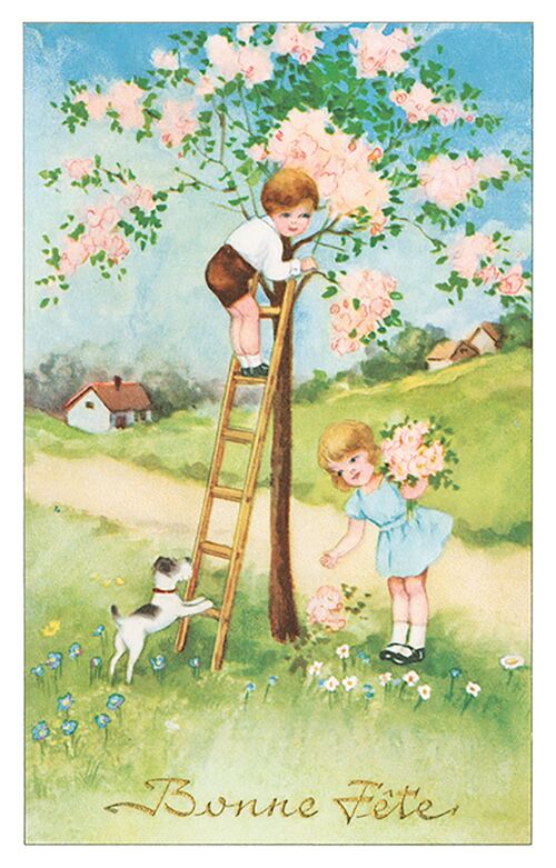 Carte postale arbre fleuri