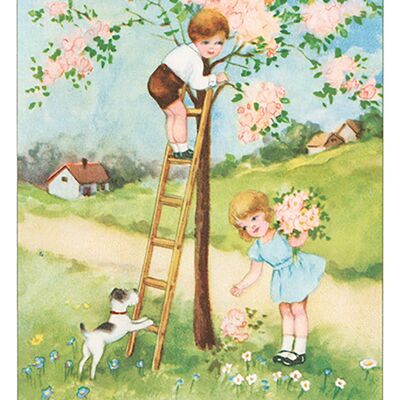 Flowering tree postcard
