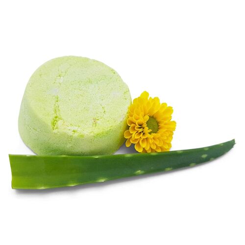 Shampoo Bar Aloe Vera - allergenfrei  - bei trockenem Haar und empfindlicher Kopfhaut