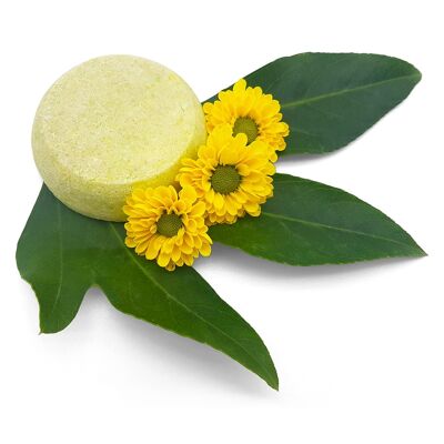 Shampoo Bar Green Tea - pour des cheveux qui regraissent rapidement et des pointes sèches