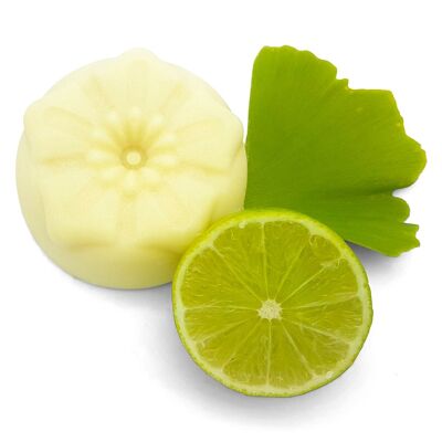 Beurre corporel Ginkgo citron vert