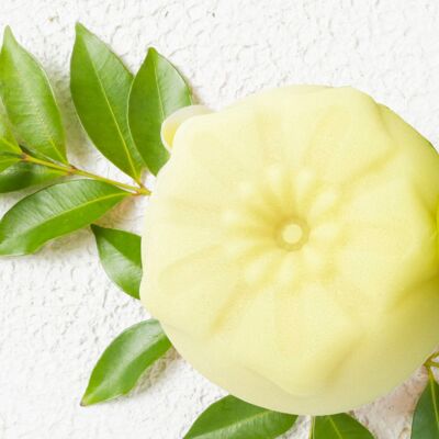 Burro corpo al ginkgo lime