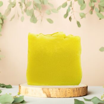 Beurre de douche aloe vera - vegan - pour peaux particulièrement sèches - format original 2