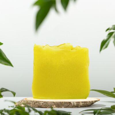 Aloe Vera hair soap - for dry, brittle hair and a dry scalp - also suitable as body soap - original size