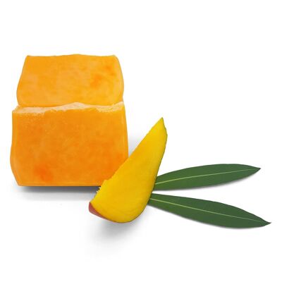 Mango hair soap - for normal to dry hair and a dry, sensitive scalp - original size