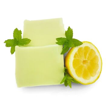 Savon Menthe Citron 1