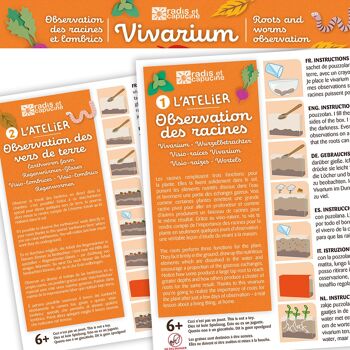 Vivarium Observation des racines 5