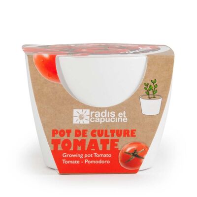 White ceramic pot 8 cm Organic cherry tomato