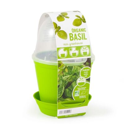 Organic Basil Bell Jar
