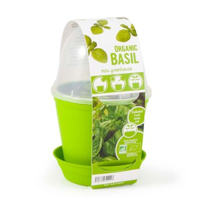 Pot Cloche Basilic bio