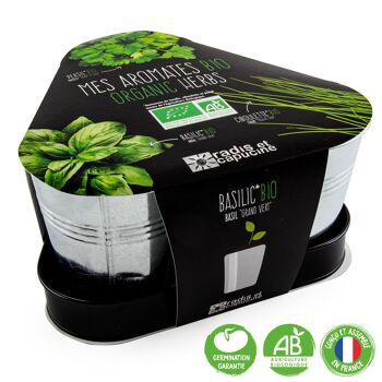 Trio d'aromates Bio (basilic, ciboulette, persil) 1