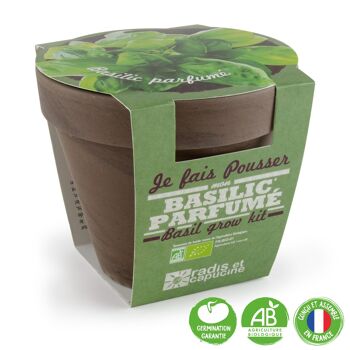 BAISSE DE PRIX - Pot Terre cuite Basalte 13cm Basilic grand vert bio 2