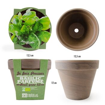 BAISSE DE PRIX - Pot Terre cuite Basalte 13cm Basilic grand vert bio 5