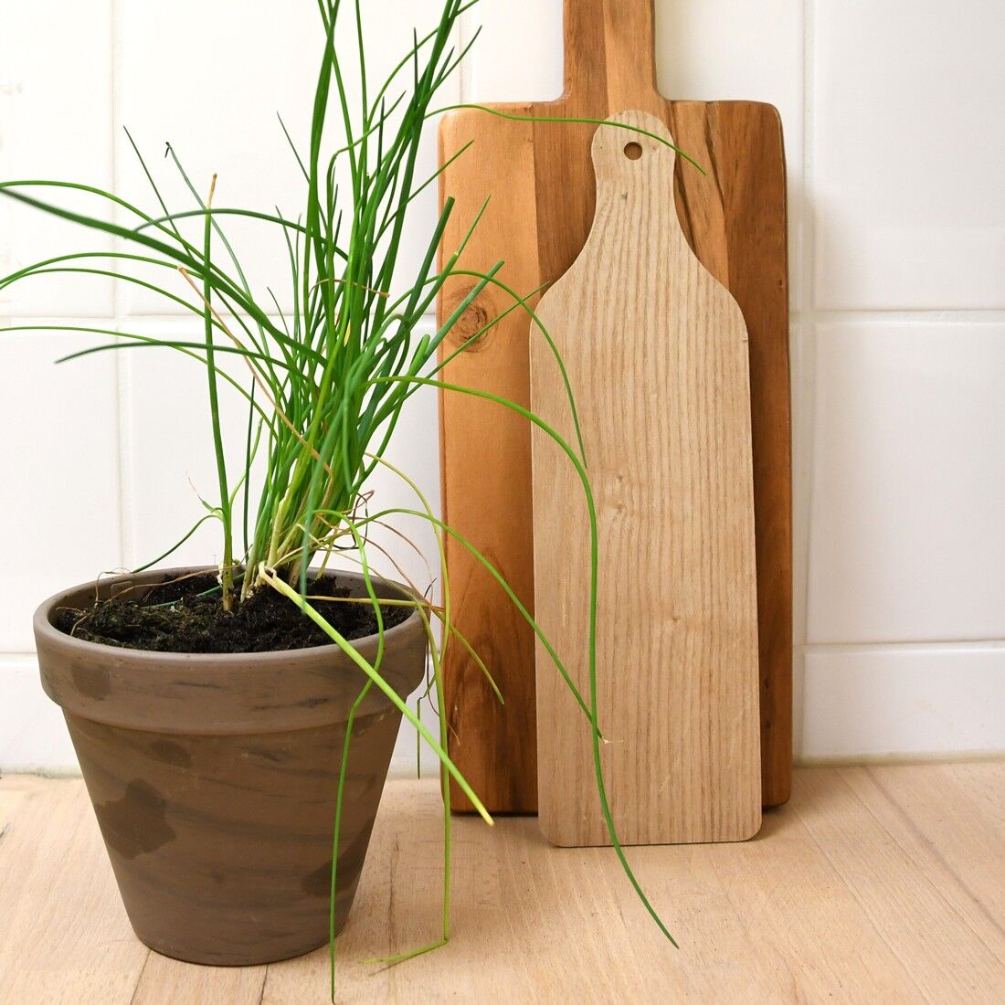 Basalt-Terrakotta-Topf 13 cm – Bio-Schnittlauch