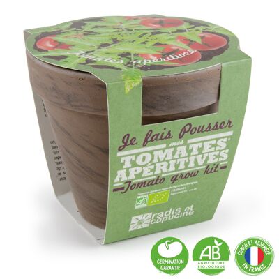 Basalt Terracotta Pot 13cm - Organic Cherry Tomato