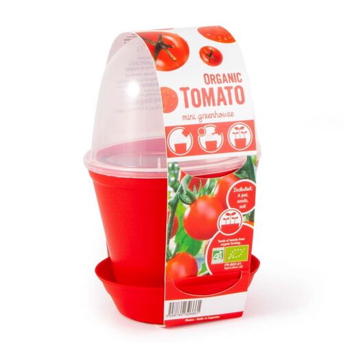 Pot Cloche Tomate cerise bio