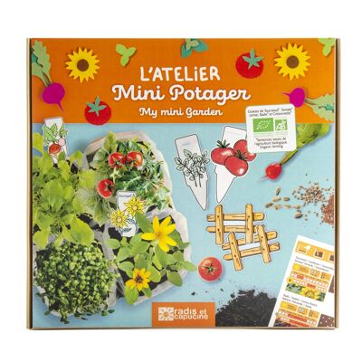 Mini Vegetable Garden Box