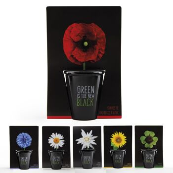 Kit de plantation black - Coquelicot 4