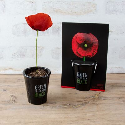 Black planting kit - Poppy
