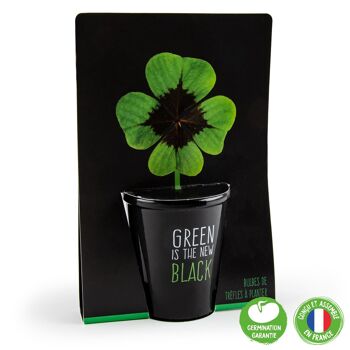 Kit de plantation black - Trèfle 4 feuilles 2