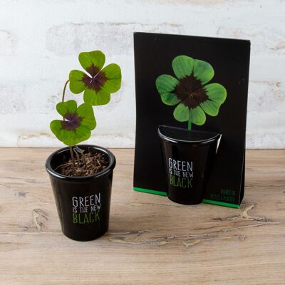 Black planting kit - 4 leaf clover