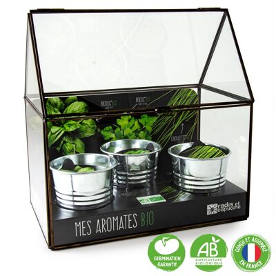 Greenhouse frame black - Organic aromatic plants