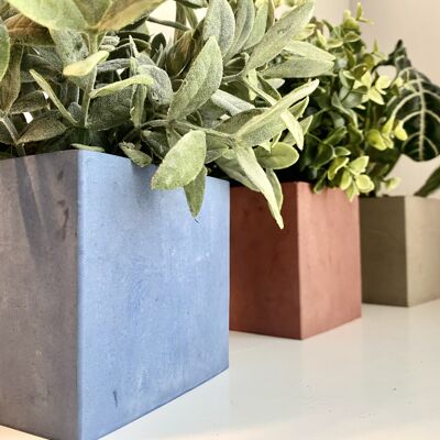 Kit PAULINE - Make 5 planters made in concrete