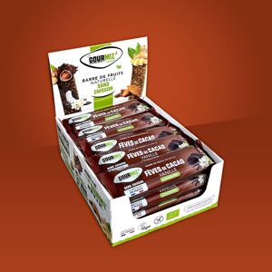 Barres de fruits bio, fèves de cacao, vanille & chanvre, sans gluten, encas sain pour les gourmands et les sportifs