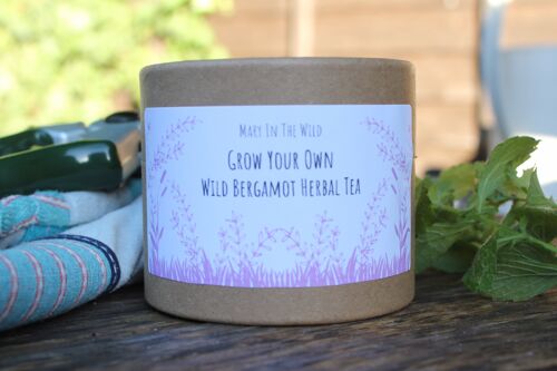 Grow Your Own Wild Bergamot Herbal Tea