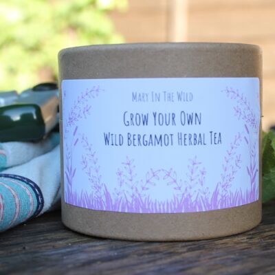 Cultive su propio té de hierbas de bergamota silvestre