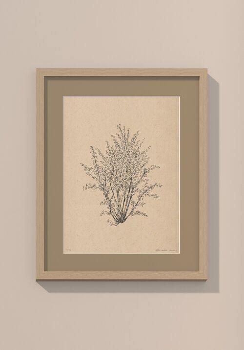 Hazelnootboom met passe-partout en lijst | 30 cm x 40 cm | Lino