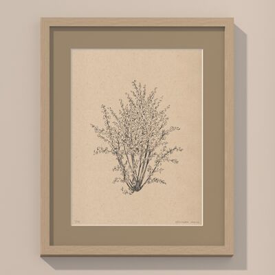 Haselnussbaum mit Passepartout und Rahmen | 30cm x 40cm | Linoleum