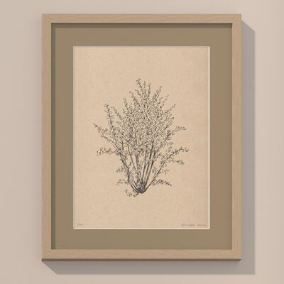 Haselnussbaum mit Passepartout und Rahmen | 30cm x 40cm | Linoleum