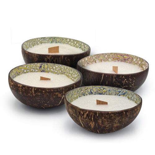 Coco bowl candle | paars-goud