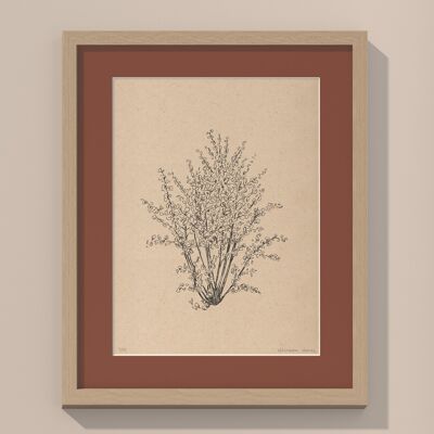 Hazelnut tree with passe-partout and frame | 30cm x 40cm | Casa Otellic