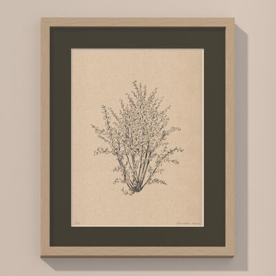 Hazelnootboom met passe-partout en lijst | 30 cm x 40 cm | Cavolo Nero