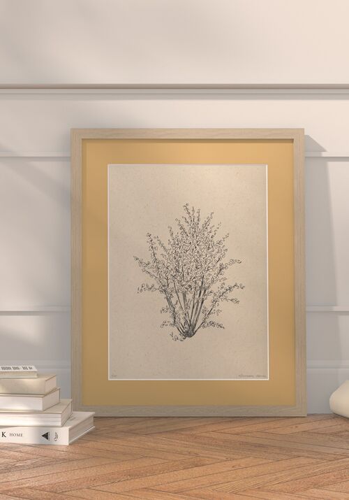 Hazelnootboom met passe-partout en lijst | 30 cm x 40 cm | Noce