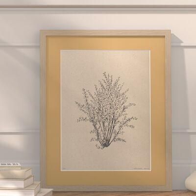 Hazelnut tree with passe-partout and frame | 30cm x 40cm | noce