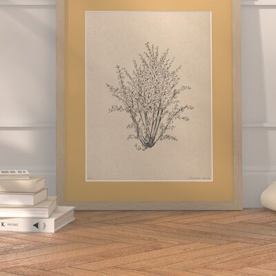 Hazelnut tree with passe-partout and frame | 30cm x 40cm | noce