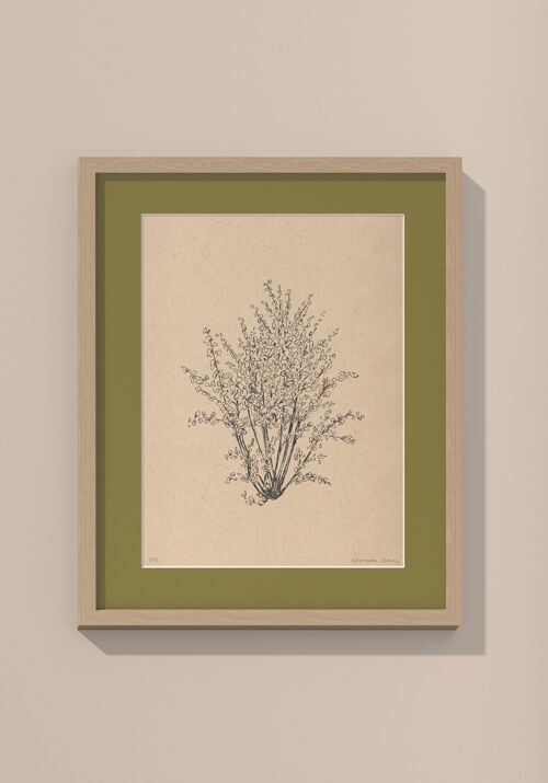Hazelnootboom met passe-partout en lijst | 30 cm x 40 cm | Olivo